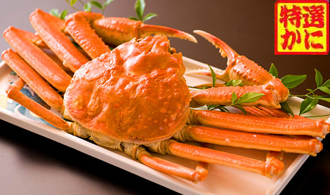 特選かに1杯付！700ｇのぎっしり蟹★自家源泉かけ流し♪季節の会席♪★7つの特典付イメージ