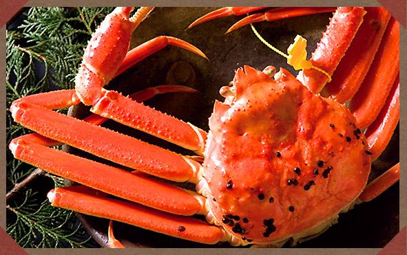 蟹の王様 越前ガニプランイメージ