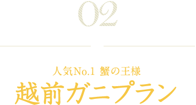 人気No.1蟹の王様 越前ガニプラン