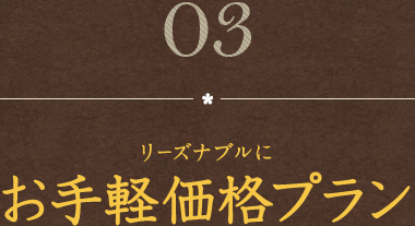 お手軽価格プラン