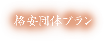 格安団体プラン